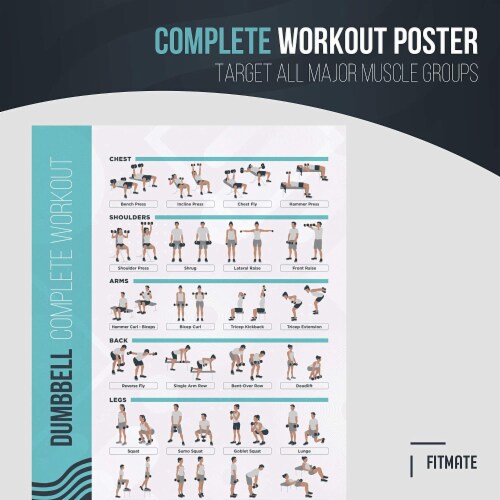 Dumbbell workout online routine weekly