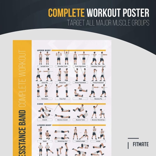Bodylastics workout hot sale plan