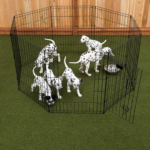 Lucky dog exercise pen new arrivals