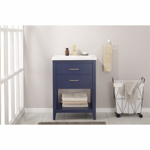 Design Element Group Cara 24  Single Sink Vanity in Blue Perspective: back