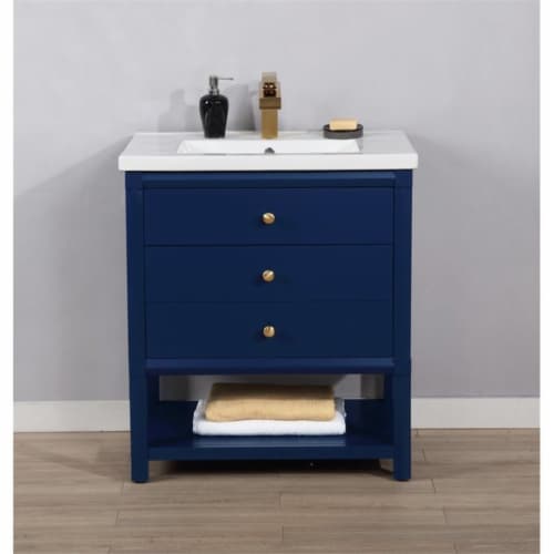 Design Element Group Logan 30  Single Sink Vanity in Blue Perspective: back