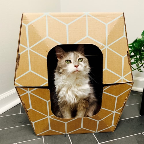 Extra large disposable litter box top