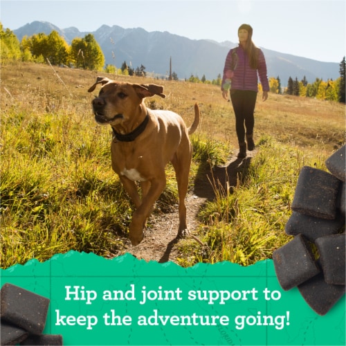 Zuke’s Hip And Joint Soft And Chewy Natural Dog Treats Chicken Recipe Perspective: back