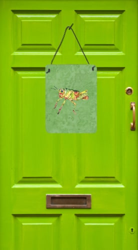 Carolines Treasures  8848DS1216 Grasshopper on Avacado Wall or Door Hanging Prin Perspective: back