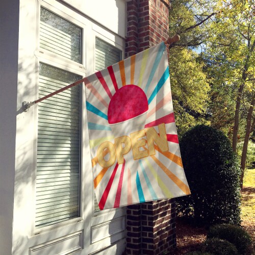 Carolines Treasures SB3112CHF Snowball Snow cone stand Open House Flag Perspective: back