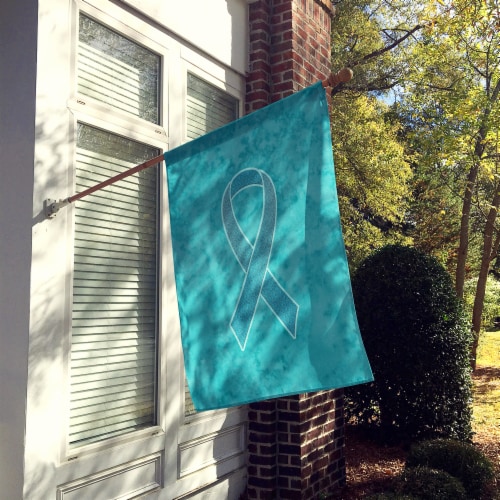 Carolines Treasures AN1201CHF Teal Ribbon for Ovarian Cancer Awareness House Fl Perspective: back