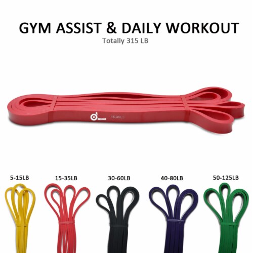 Pull-Ups Bands Kit – 9 In 1 Resistance Bands Kit – Totally 315 LBs Bands for Stretching Perspective: back