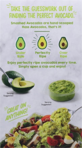 Wholly® Guacamole Chunky Avocado Minis Perspective: back