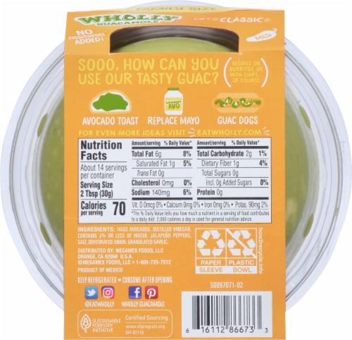 Wholly Guacamole® Classic Mild Guacamole Family Size Perspective: back