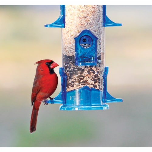JUMBO SEED FEEDER Perspective: back
