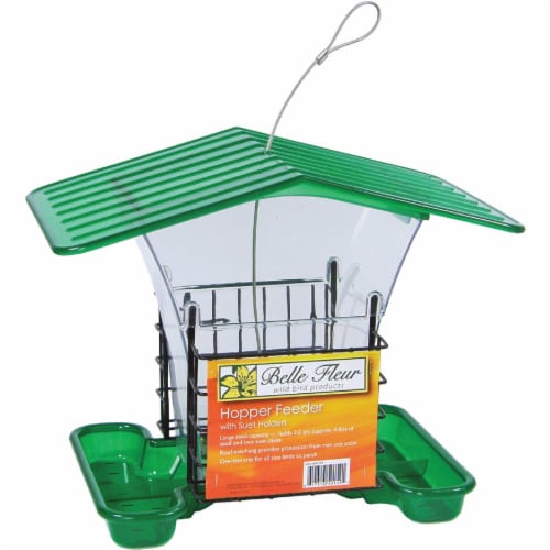 Belle Fleur Hopper Bird Feeder with Suet Holders - Green/Clear Perspective: back