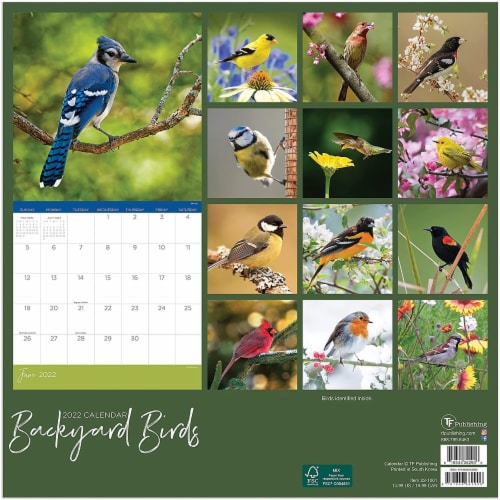 2022 Backyard Birds 12 Month Wall Calendar by TF Publishing Perspective: back