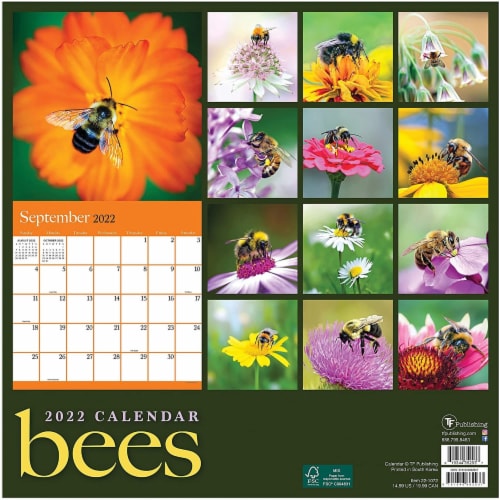 2022 Wall Calendar, Bees 12x12 In, 16 Months Large Grid Monthly