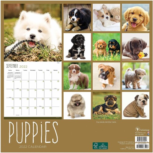 2022 Puppies 12 Month Wall Calendar by TF Publishing Perspective: back