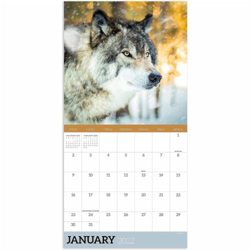2022 Wolves Wall Calendar Perspective: back