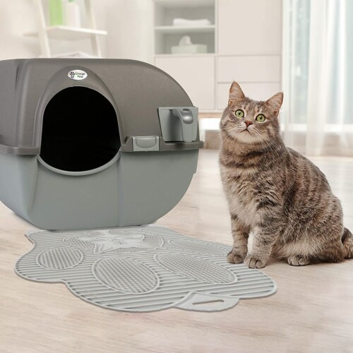 Cat paw cleaning sales mat