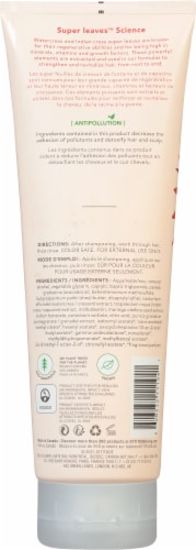 Attitude Super Leaves Color Protection Conditioner Perspective: back