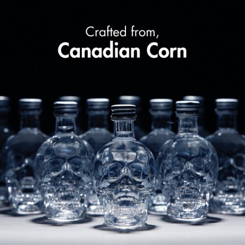 Crystal Head Vodka Perspective: back