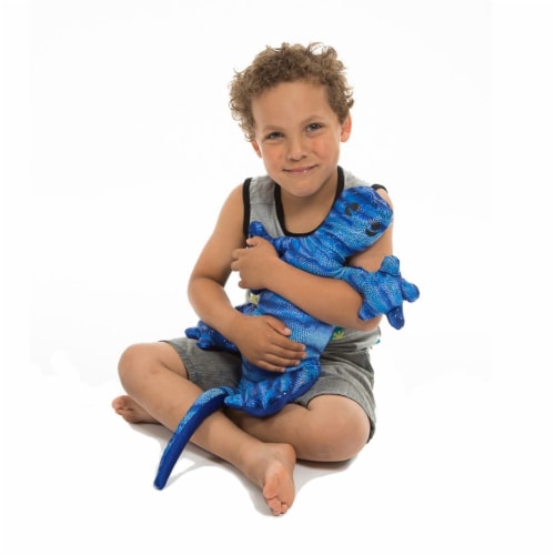 FDMT Manimo Blue Lizard 2Kg 01851 Perspective: back