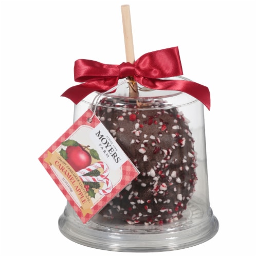 Moyers Farm Candy Cane Dark Chocolate Caramel Apple Perspective: back