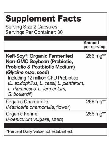 Living Alchemy Your Flora Probiotic Comfort Bloating & Gas Supplement Perspective: back