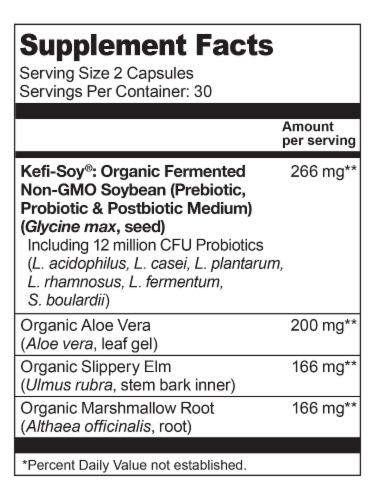 Living Alchemy Your Flora Probiotic Terrain Digestive Lining Supplement Perspective: back