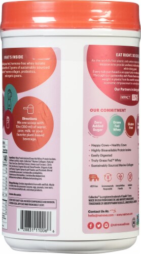 Natreve Strawberry Shortcake Grass-Fed Whey Protein Powder Perspective: back