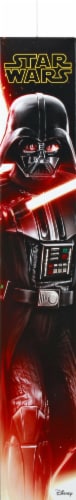 Hasbro Star Wars Hero Series Darth Vader Action Figure Perspective: back