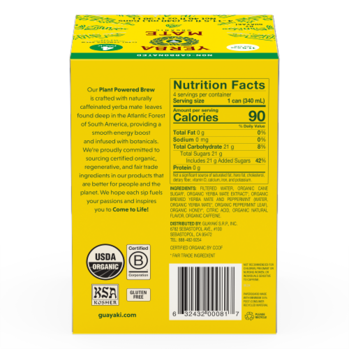 Guayaki Yerba Mate Organic Enlighten Mint Perspective: back