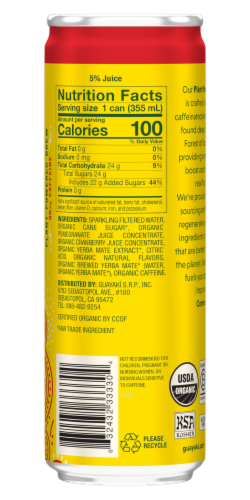Guayaki Yerba Mate Organic Sparkling Cranberry Pomegranate Yerba Mate Can Perspective: back