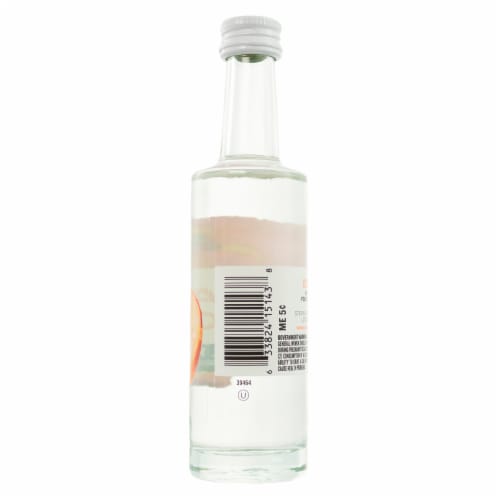 Van Gogh Cool Peach Vodka Perspective: back