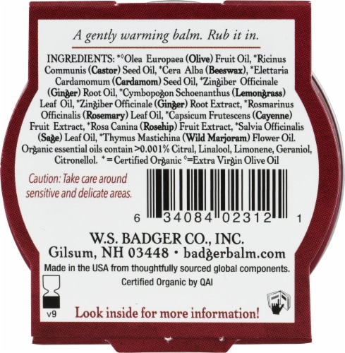 Badger® Organic Cayenne and Ginger Sore Muscle Rub Perspective: back