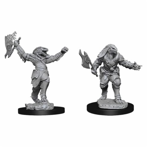 WizKids WZK90001 Dungeons & Dragons Nolzurs Marvelous Unpainted Female Dragonborn Fighter W11 Perspective: back