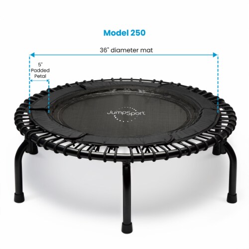 JumpSport 250 Fitness Rebounder Mini Trampoline for In Home Cardio