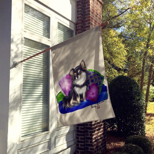Carolines Treasures MH1012CHF Chihuahua on their couch House Flag Perspective: back