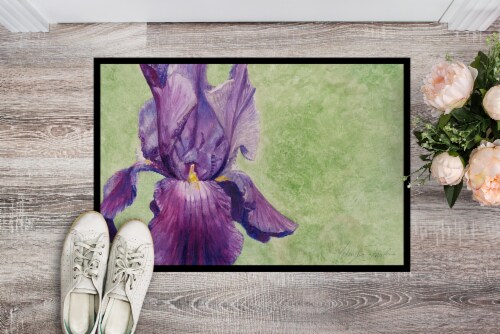 Carolines Treasures  TMTR0234MAT Purple Iris by Malenda Trick Indoor or Outdoor Perspective: back
