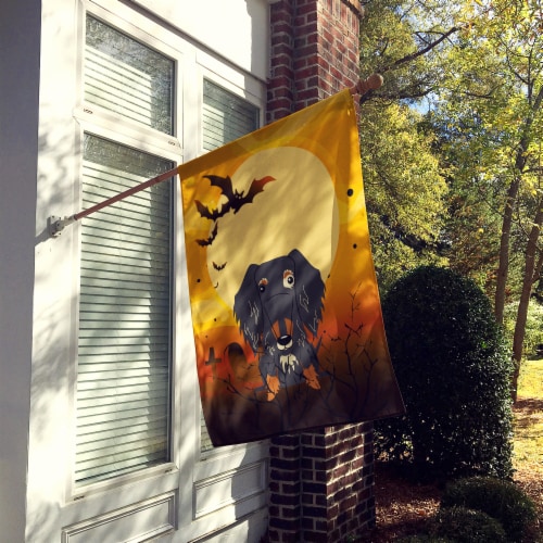 Halloween Wire Haired Dachshund Dapple Flag Canvas House Size Perspective: back