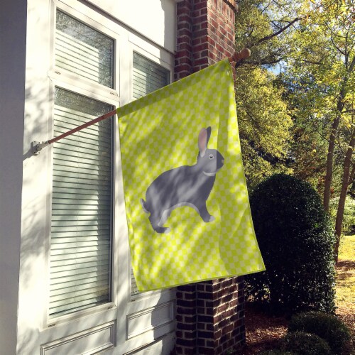 Carolines Treasures BB7792CHF Giant Chinchilla Rabbit Green Flag Canvas House S Perspective: back