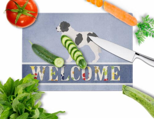 Carolines Treasures BB8331LCB Landseer Welcome Glass Cutting Board Large, Blue Perspective: back