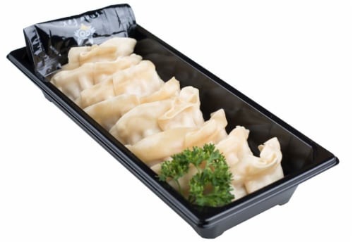 Japanese Food Express Dumpling Perspective: back
