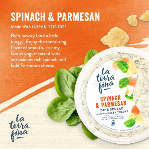 La Terra Fina® Spinach & Parmesan Greek Yogurt Dip & Spread Perspective: back