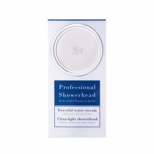 1-Spray Patterns with 1.5 GPM 4 in. Wall Mount Handheld Shower Head in Chrome Perspective: back