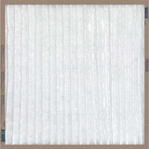 True Blue™ Basic Protection™ Air Filter Perspective: back
