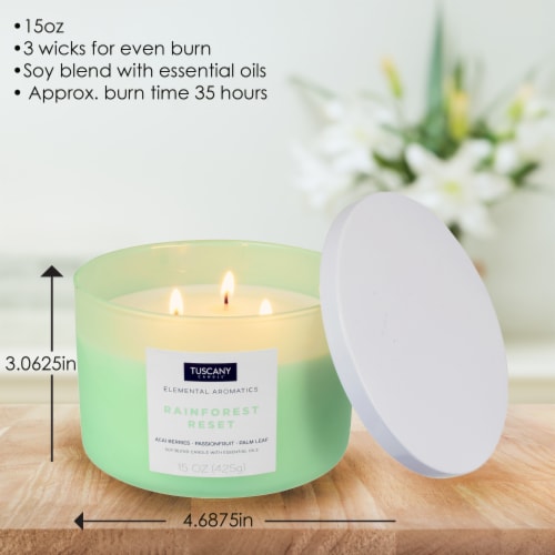 Tuscany Candle Elemental Aromatics Rainforest Reset Scented Jar Candle Perspective: back