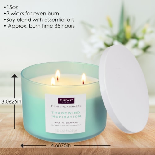 Tuscany Candle™ Elemental Aromatics Tradewind Inspiration Soy Candle Perspective: back