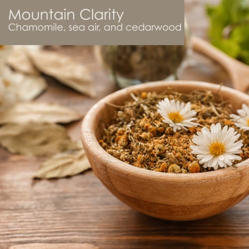 Tuscany Candle Elemental Aromatics Mountain Clarity Scented Jar Candle Perspective: back