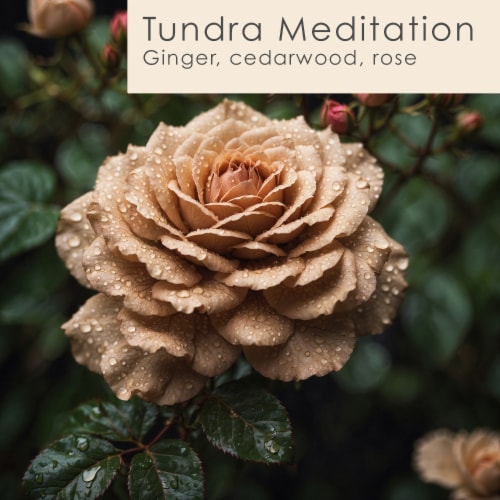 Tuscany Candle™ Elemental Aromatics Soy Jar Candle Tundra Meditation Perspective: back
