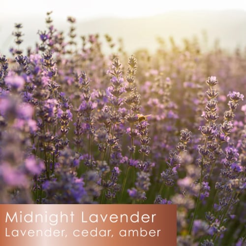 Tuscany Candle™ Serene Clean Collection Midnight Lavender Scented Jar Candle Perspective: back