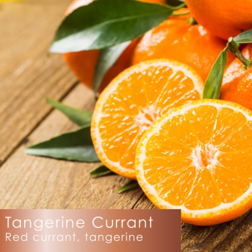 Tuscany Candle™ Serene Clean Collection Tangerine Currant Scented Jar Candle Perspective: back
