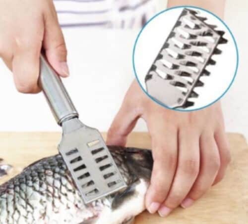 Kitcheniva Fish Scalers Scraper Brush Perspective: back